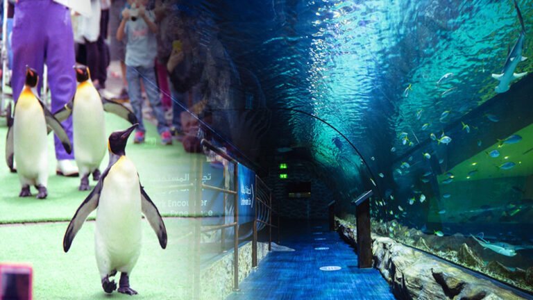 Aquarium & Penguin Cove